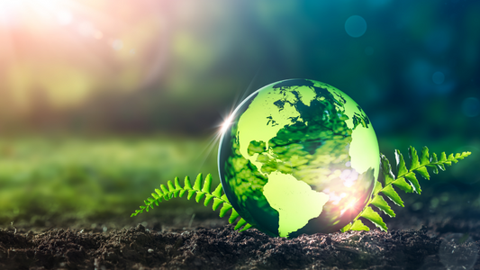 Engagement des entreprises pour l’environnement
